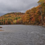 Vivid Colors in Maine