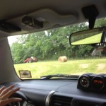 Gotta Make Hay While The Sun Shines